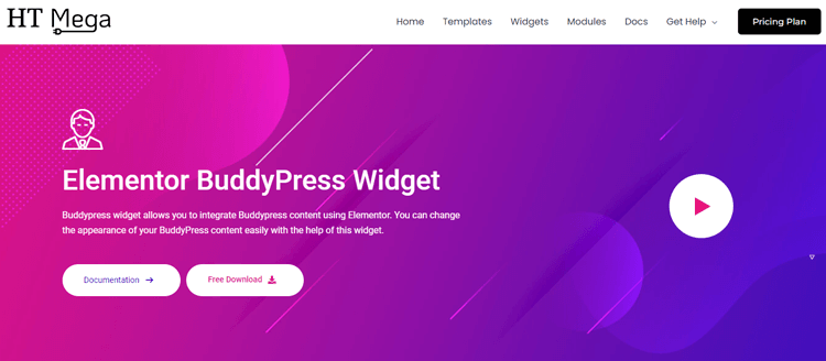 HT Mega Elementor BuddyPress widgets. 